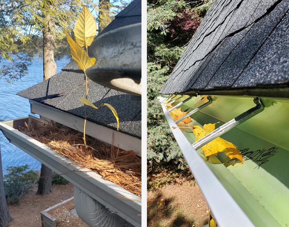 Gutter Cleaning before & after